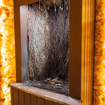 Bellamonte Aparthotel Zakopane Exterior photo